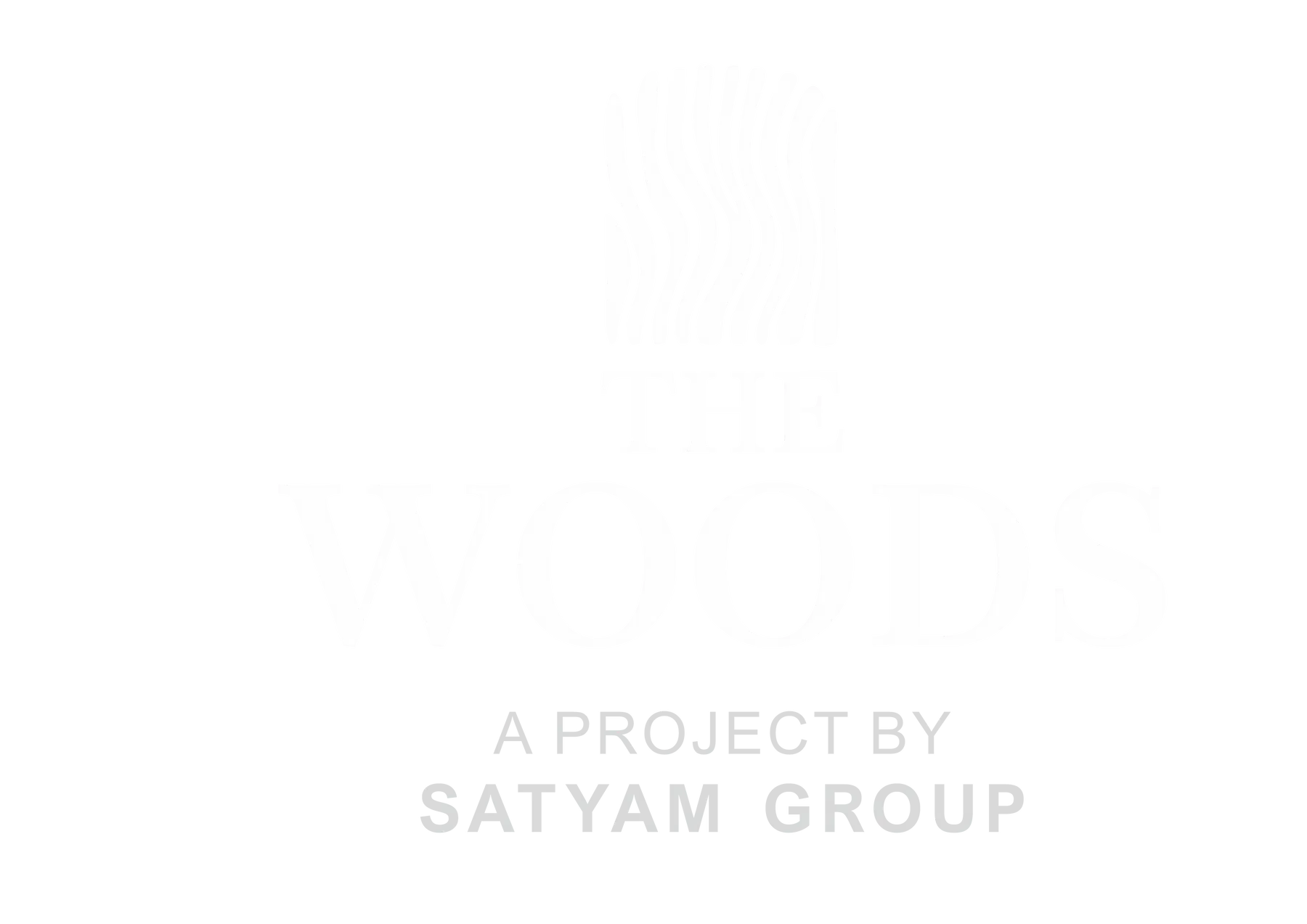 Satyam Group